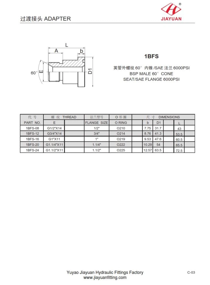 SAE Cod 62 Adaptori de flanșă BSP 60