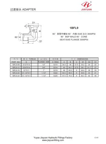 Adaptor SAE 3000 cu flanșă BSP 60